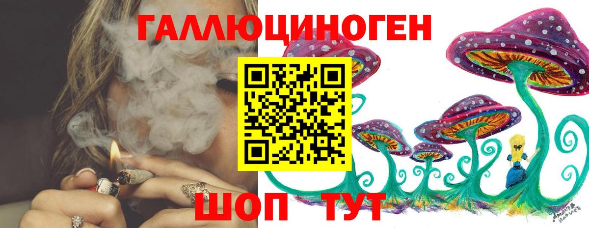 Псилоцибиновые грибы GOLDEN TEACHER Ленинск-Кузнецкий