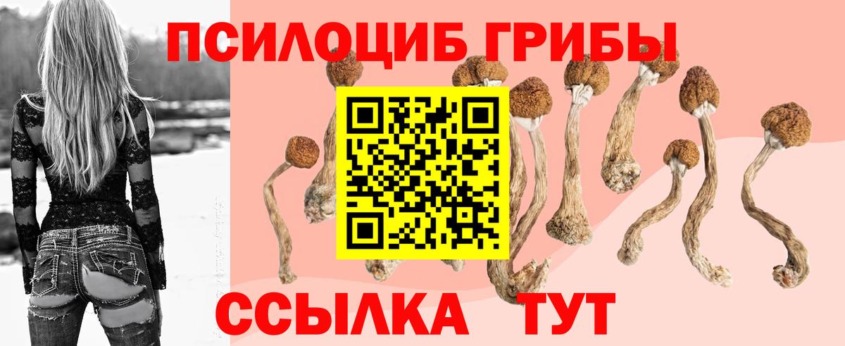 Галлюциногенные грибы Psilocybe  Вход с VPN  Ленинск-Кузнецкий 